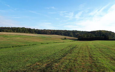 Areal für das Neubaugebiet Schafwiesen in Modautal-Brandau