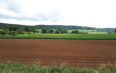 Noch nicht bebaute Fläche vom Entwicklungsgebiet Am Mischborn in Schaafheim-Mosbach