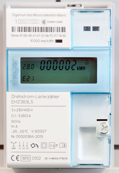 Elektronischer Lieferzähler (EHZ)